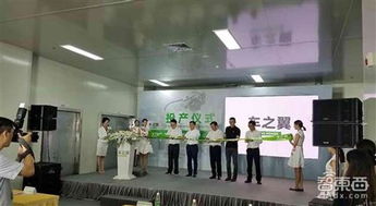 双蛋节里的温暖与智慧 科技中介服务的“心灵鸡汤”